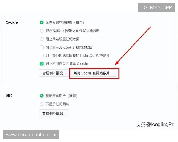 欧博登录上不去怎么办：清除缓存和Cookies以解决登录卡顿问题
